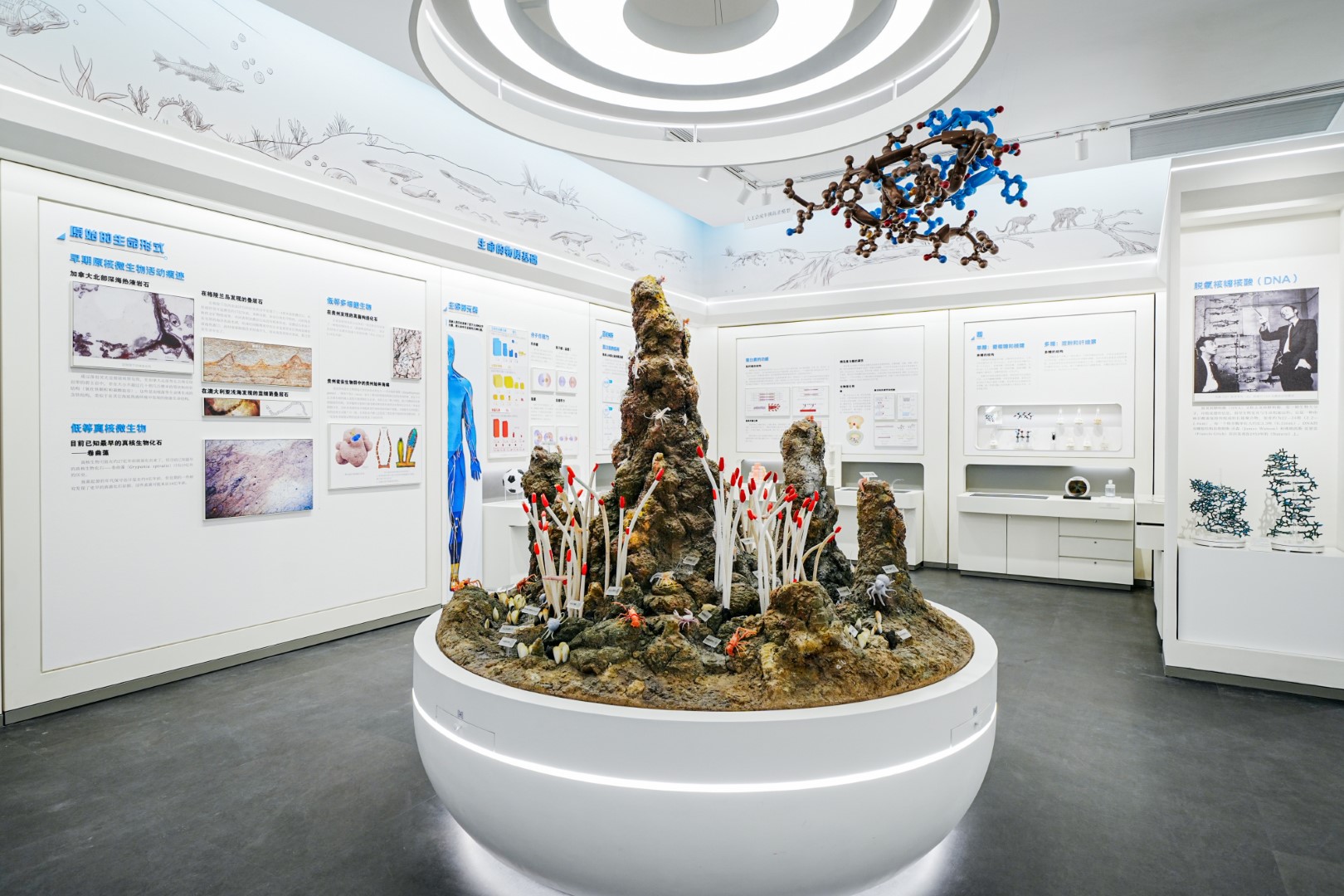 image-20250110104235-2